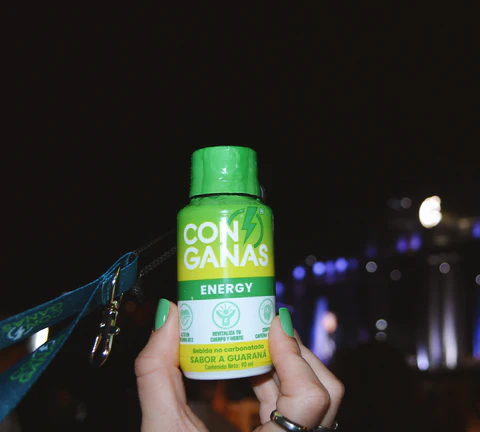 Nuestros Proyectos Recientes